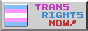 A button that says Trans Rights Now!